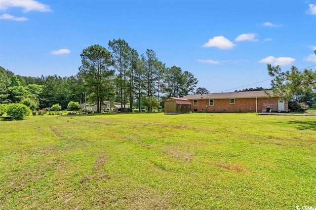 view of yard featuring a shed