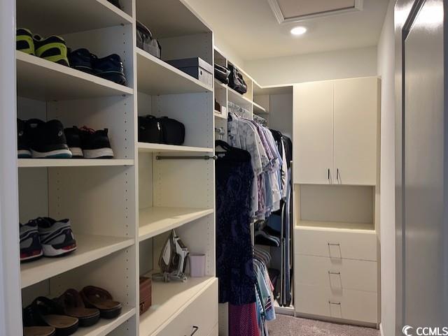 view of spacious closet