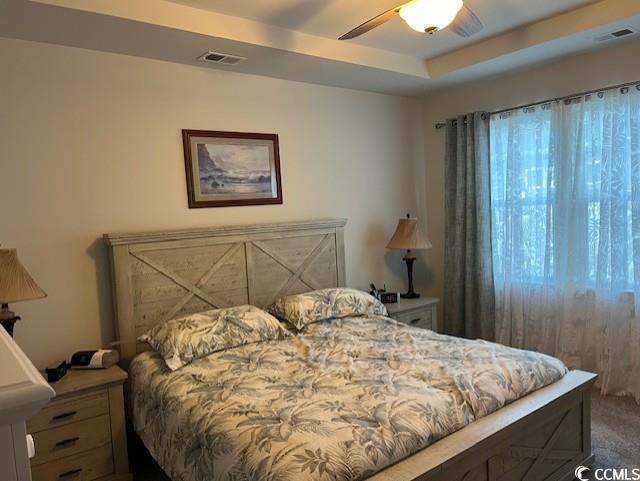 bedroom featuring carpet flooring, a tray ceiling, and ceiling fan