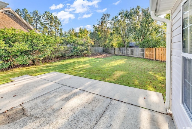 view of yard featuring a patio