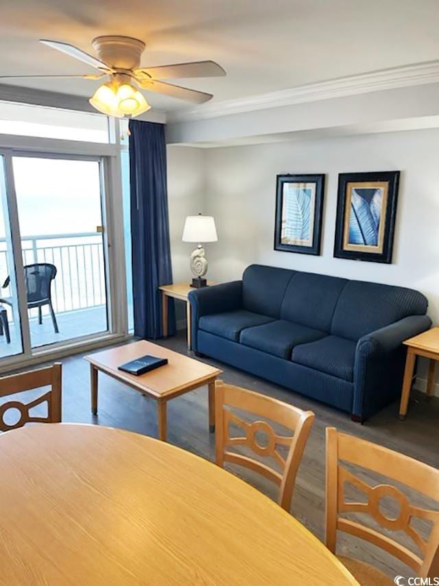 living room featuring ceiling fan and ornamental molding