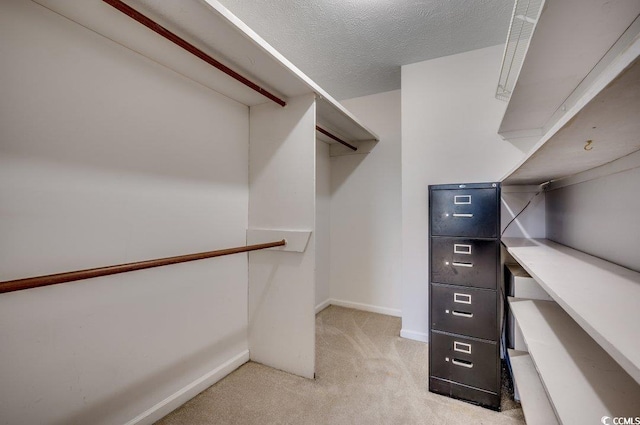 spacious closet featuring light carpet