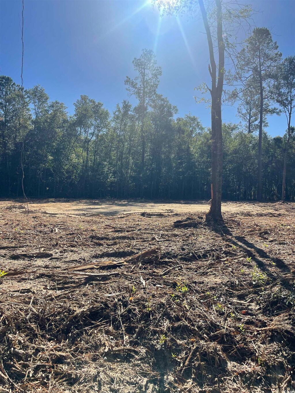 LOT8 Marvin Ct, Marion, SC 29571 - photo 1