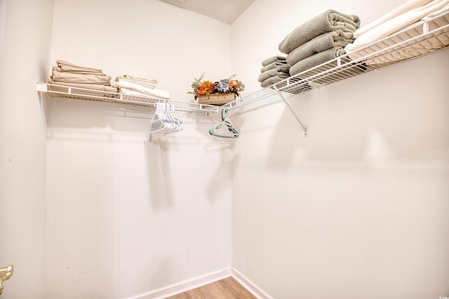 walk in closet featuring wood-type flooring