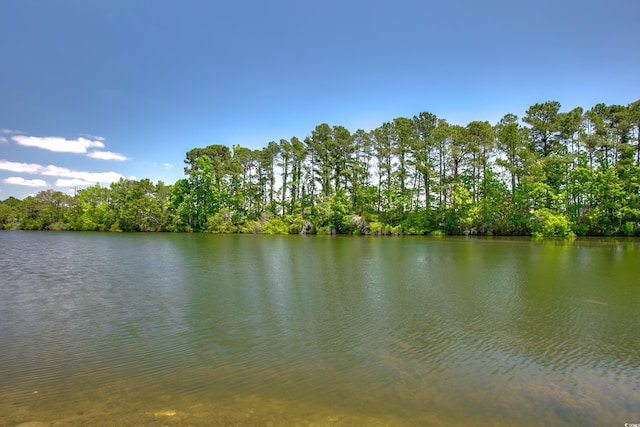 2226 Huntington Dr Unit D, Surfside Beach, SC 29575 - water view