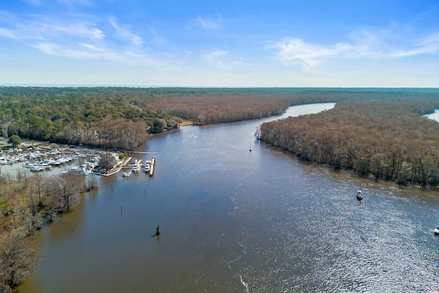 4491 Horseshoe Bnd, Murrells Inlet, SC 29576 - water view with a heavily wooded area