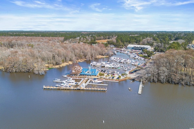 4491 Horseshoe Bnd, Murrells Inlet, SC 29576 - aerial view of numerous boat docks and a nearby body of water