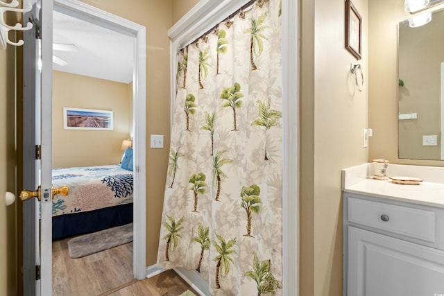 bathroom featuring hardwood / wood-style floors and vanity