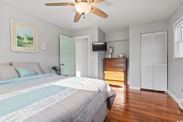 bedroom featuring ceiling fan, dark wood-type flooring, and a closet