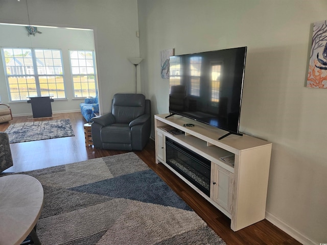 living room featuring dark hardwood / wood-style flooring