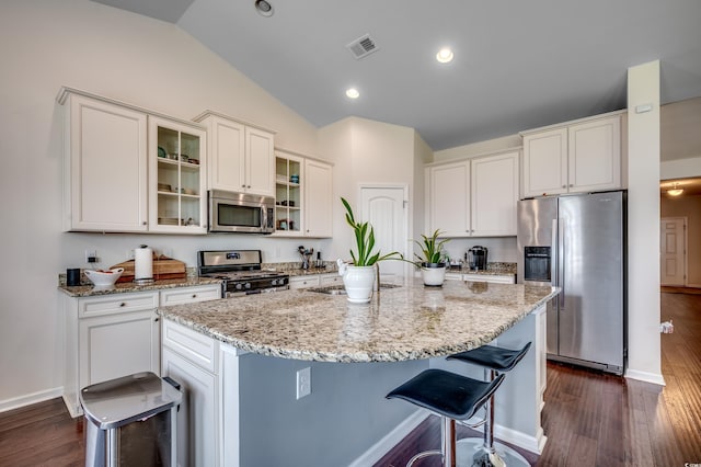 kitchen with a center island, lofted ceiling, stainless steel appliances, and dark wood-type flooring