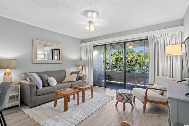 living room with ceiling fan, light hardwood / wood-style floors, and a textured ceiling