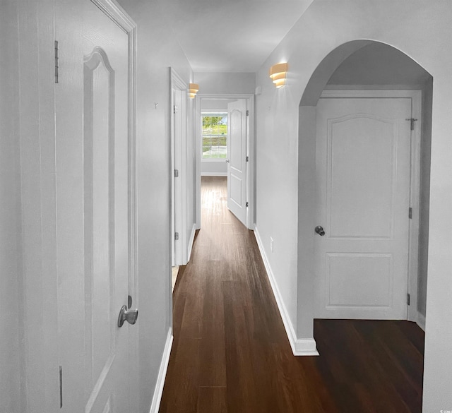 hall with dark hardwood / wood-style floors