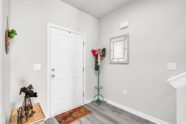 entrance foyer featuring wood-type flooring