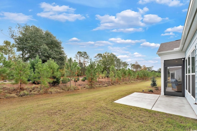 view of yard featuring a patio