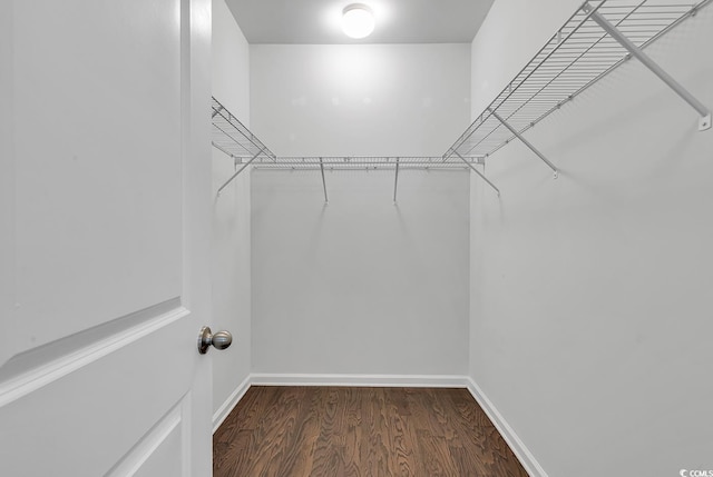 walk in closet with dark hardwood / wood-style flooring