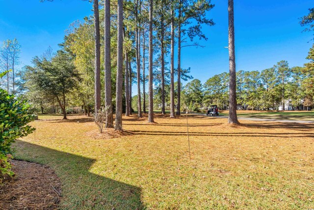 493 Shellbank Dr Unit 2-B, Longs, SC 29568 - view of green lawn