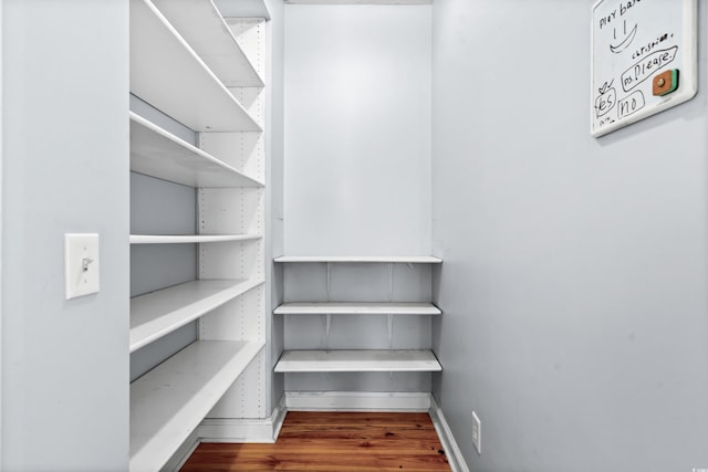 walk in closet featuring hardwood / wood-style floors