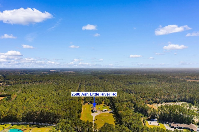 2580 Ash Little River Rd, Ash, NC 28420 - bird's eye view of a forest