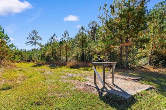 2580 Ash Little River Rd, Ash, NC 28420 - view of grassy yard featuring a wooded view
