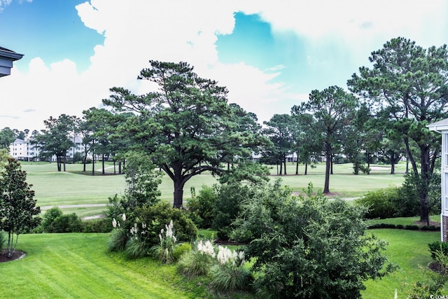 view of home's community with a yard