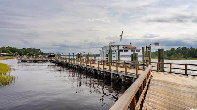 dock area with a water view