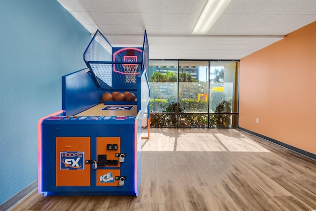 rec room with floor to ceiling windows and wood-type flooring