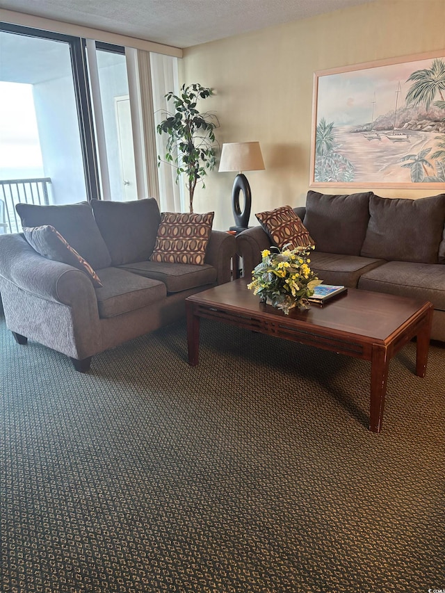 carpeted living room with a textured ceiling