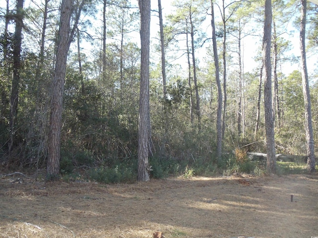 view of local wilderness