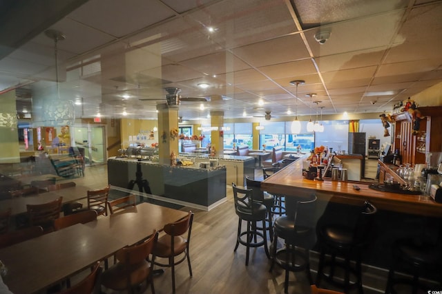 bar featuring hardwood / wood-style floors and a paneled ceiling