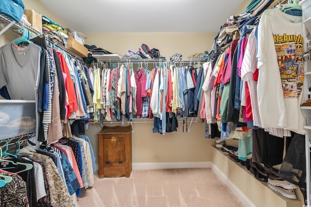 spacious closet with light carpet