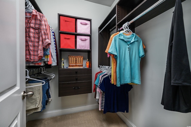 spacious closet with carpet