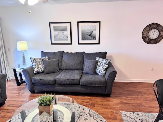 living room with ceiling fan and hardwood / wood-style flooring