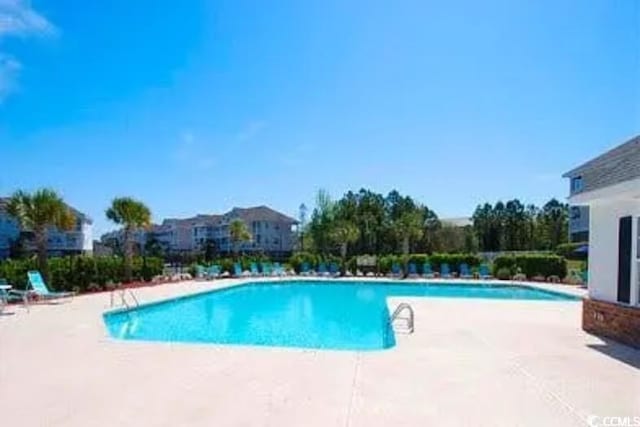 view of swimming pool with a patio