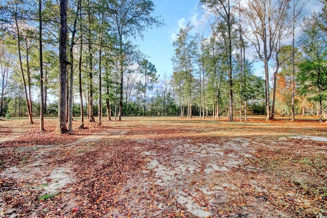 1409 Woodhaven Rd, Latta, SC 29565 - view of yard