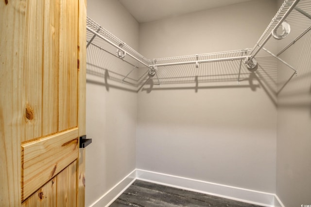 spacious closet with dark hardwood / wood-style flooring