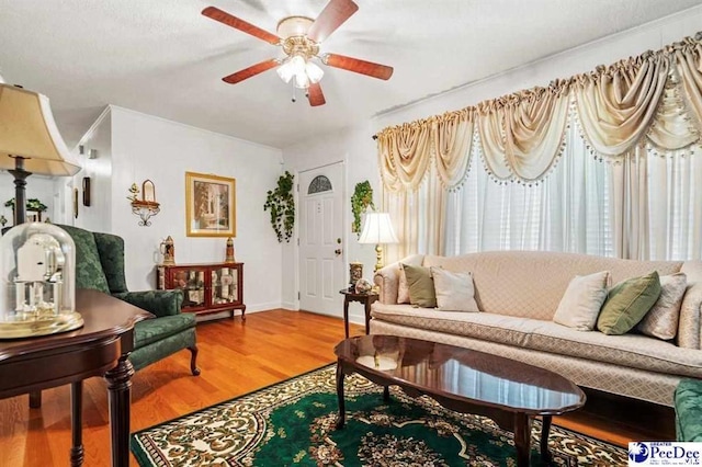 living room with ceiling fan and wood-type flooring