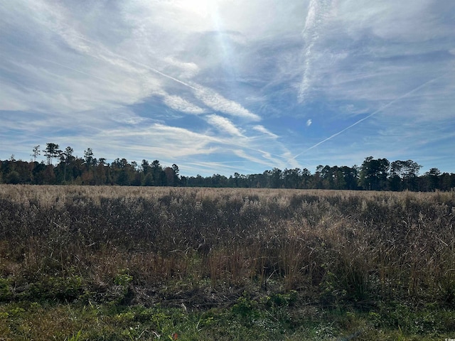 Listing photo 3 for LOT33 Gulley Ln, Salters SC 29590