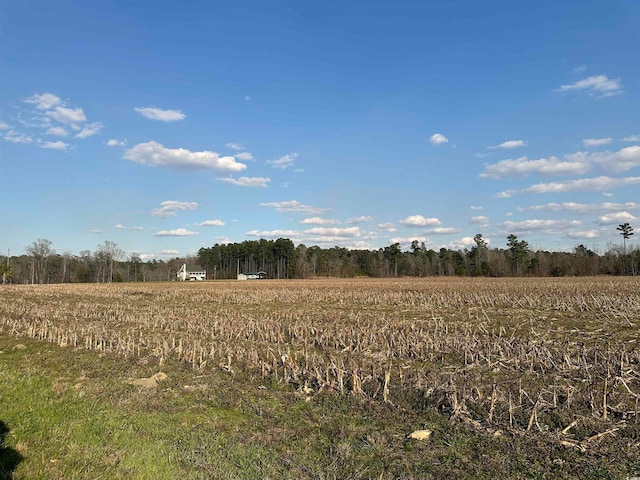 Listing photo 2 for LOT33 Gulley Ln, Salters SC 29590