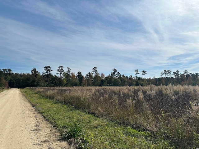 LOT33 Gulley Ln, Salters SC, 29590 land for sale