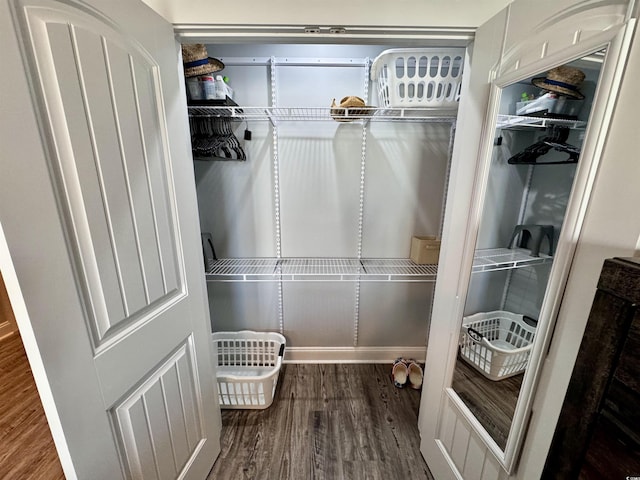 walk in closet with hardwood / wood-style flooring