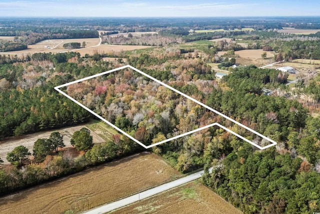 2343 Fox Pen Dr, Green Sea, SC 29545