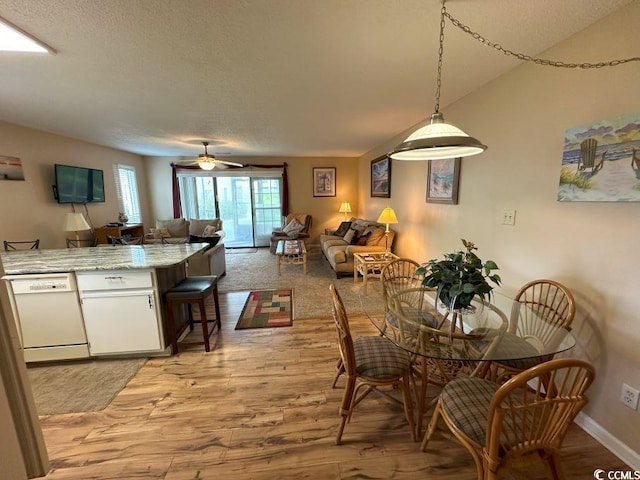 dining area with ceiling fan, light wood-type flooring, and a textured ceiling