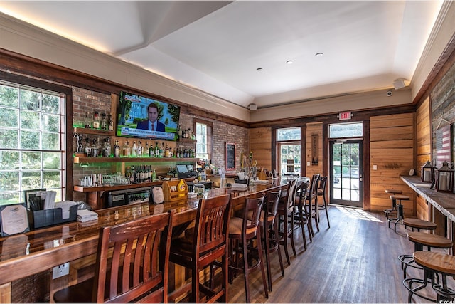 bar with hardwood / wood-style floors, a raised ceiling, a healthy amount of sunlight, and wood walls