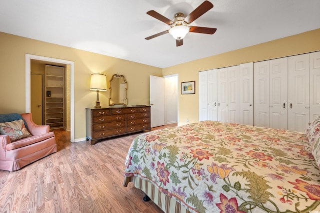 bedroom featuring ceiling fan, two closets, and hardwood / wood-style flooring