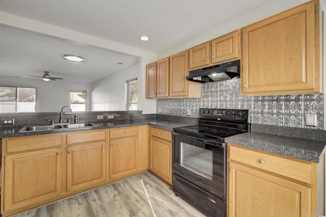 kitchen featuring black / electric stove, sink, a healthy amount of sunlight, and light wood-type flooring