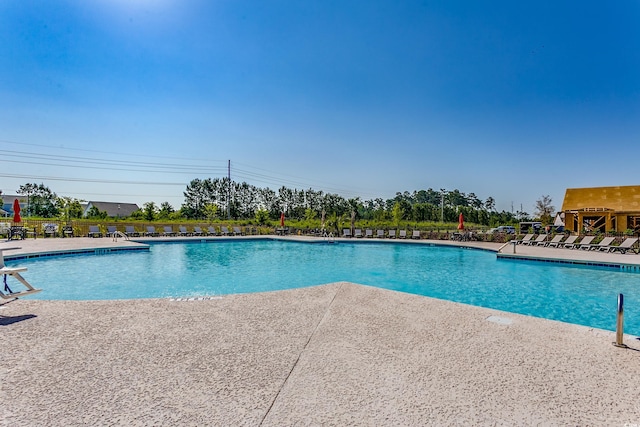 view of pool featuring a patio area