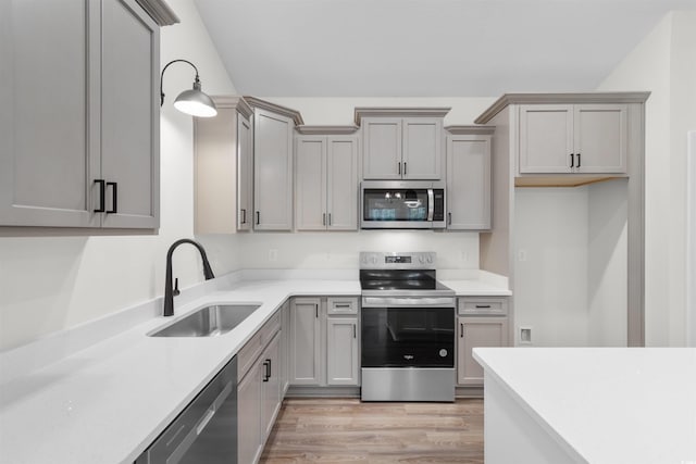 kitchen with gray cabinetry, sink, stainless steel appliances, and light wood-type flooring