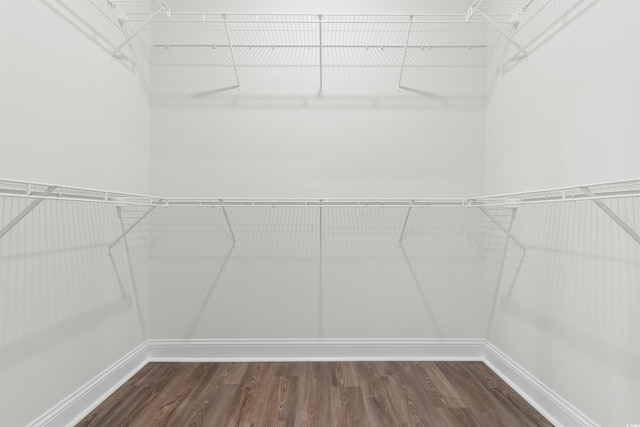 spacious closet featuring dark wood-type flooring