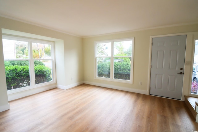 interior space with a wealth of natural light, light hardwood / wood-style flooring, and crown molding